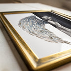 Forgotten Wings Print