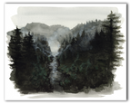 Dark Forest Print