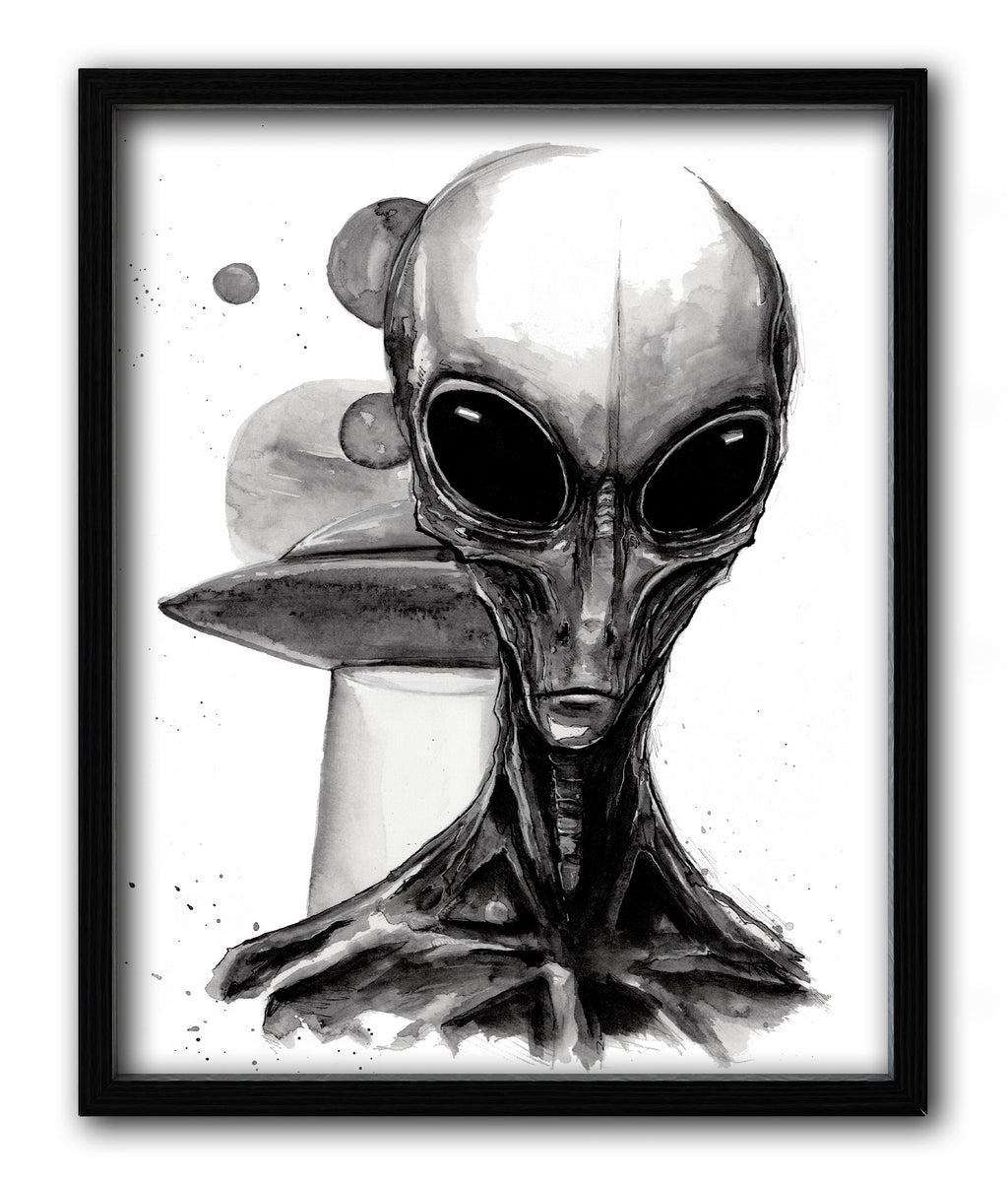The Greys Print