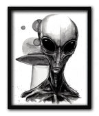 The Greys Print