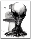 The Greys Print