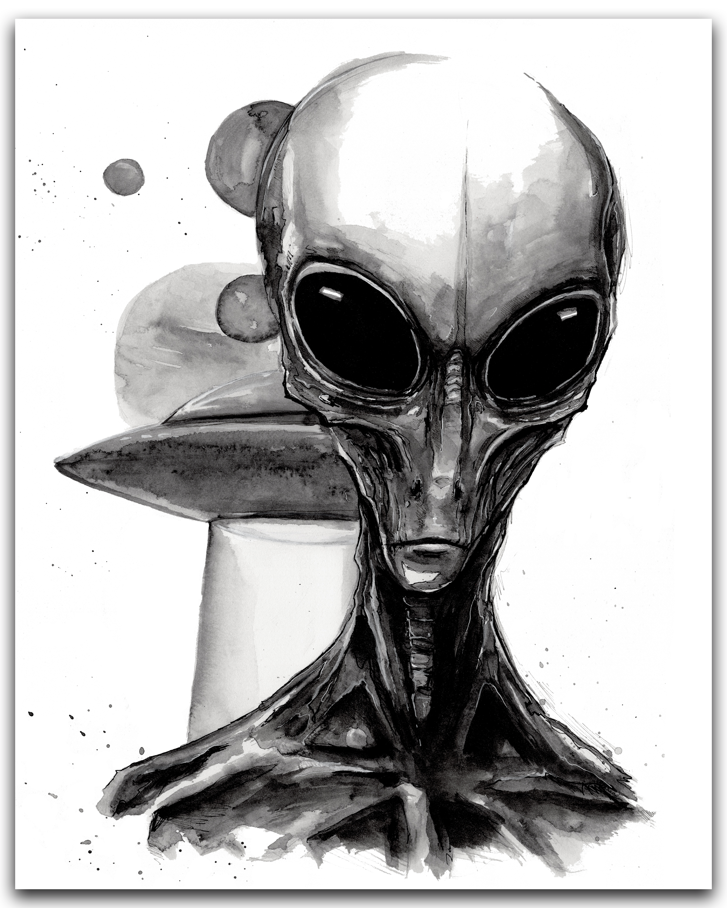 The Greys Print