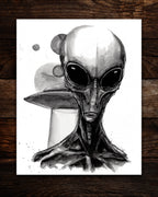 The Greys Print