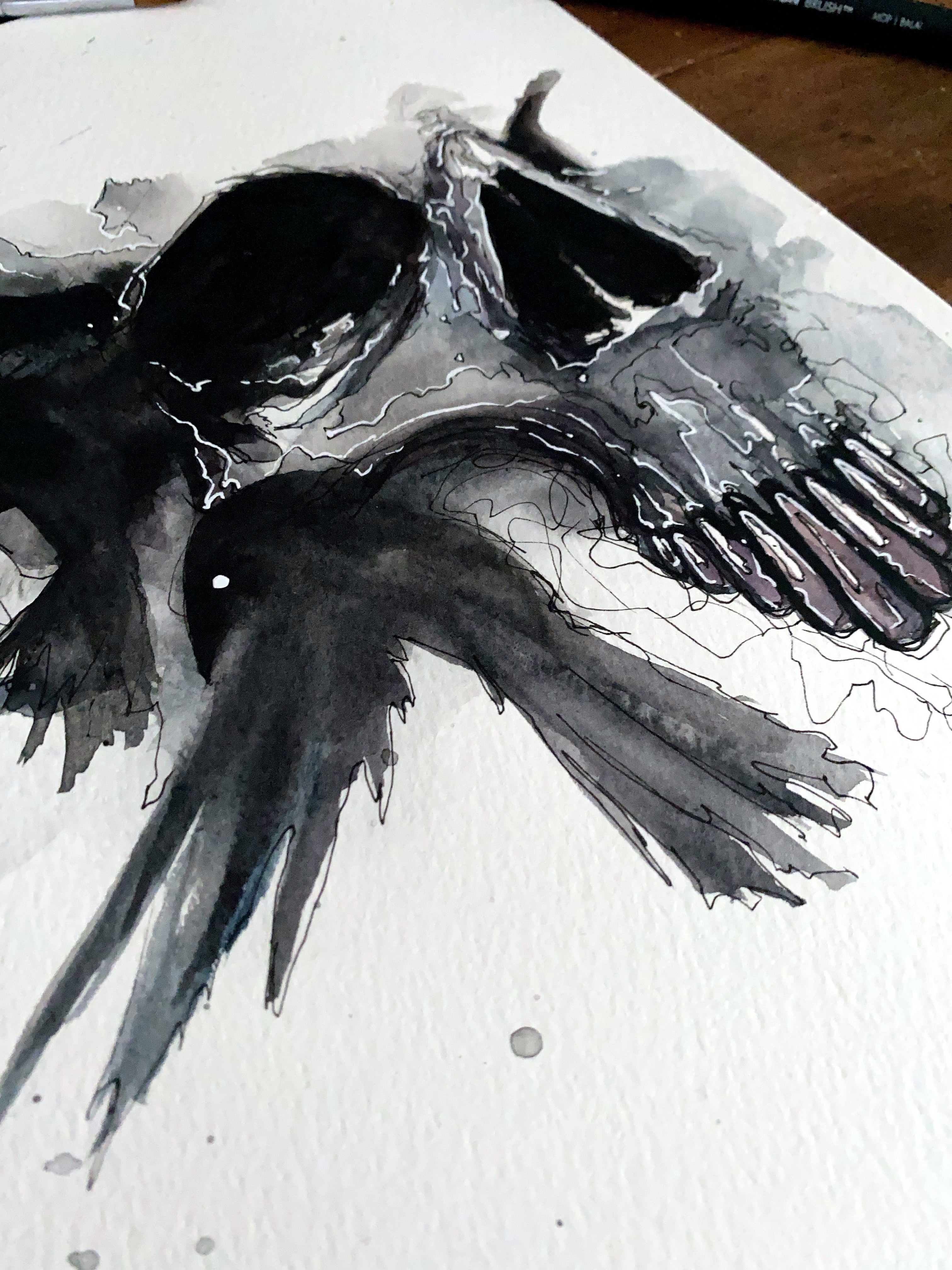 Watercolor/Ink Skull